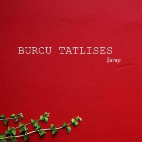 Download track Beni Öldürür Burcu Tatlıses