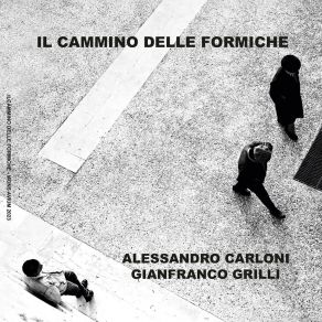 Download track Pastore Errante Gianfranco Grilli