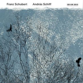 Download track Vier Impromptus, Op. 142, D. 935: Allegro Scherzando In F-Moll Public Domain, Franz Schubert, András Schiff, Fortepiano