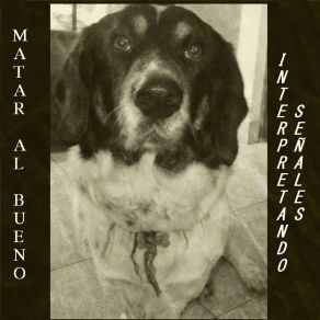 Download track Somos El Sistema Matar Al Bueno