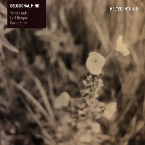 Download track Erfindung Licht Delusional Mind