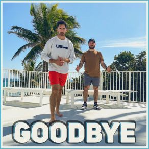 Download track Goodbye Hypothetical