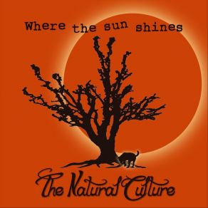 Download track Nothing But A Funk Song Natural Culture