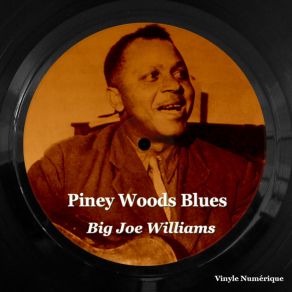 Download track No More Whiskey Big Joe Williams