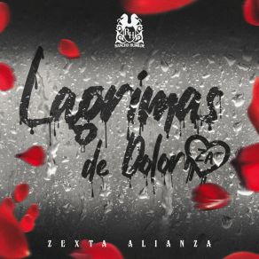 Download track Lágrimas De Dolor Zexta Alianza