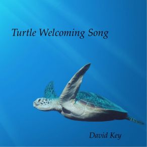 Download track Turtle Welcoming Song David Key