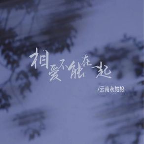 Download track 相爱不能在一起 云南灰姑娘