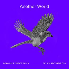 Download track Another World (Melodic House Mix) Baikonur Space Boys