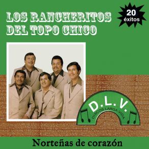 Download track Un Amor Imposible Los Rancheritos Del Topo Chico