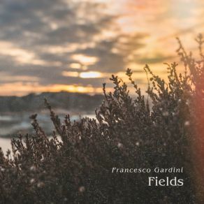 Download track The Grains Francisco Gardini