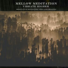 Download track Journey To The Soul Mellow Meditation