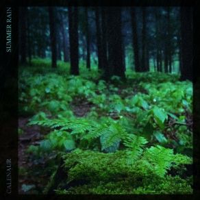 Download track Foggy Forest Calenaur