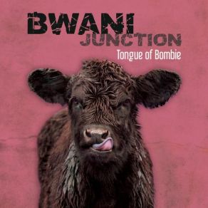 Download track Neighbourhood Watch Bwani Junction