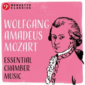 Download track Piano Quartet No. 1 In G Minor, K. 478: II. Andante Menuhin Festival Quartet, Menuhin Festival Piano Quartet