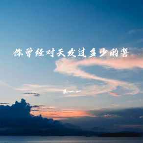 Download track 你曾经对天发过多少的誓 王一一