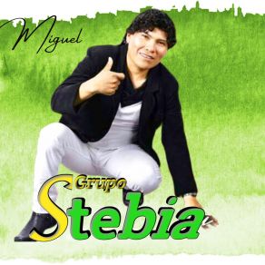 Download track Linda Chiquilla Grupo Stebia