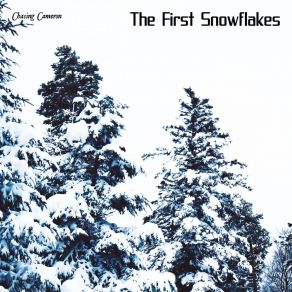 Download track The First Snowflakes Chasing Cameron