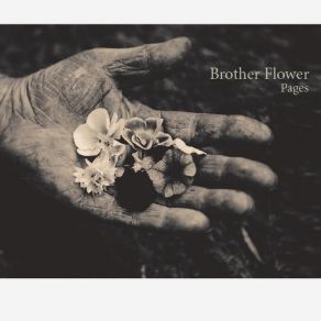 Download track Fire And Rain Brother Flower