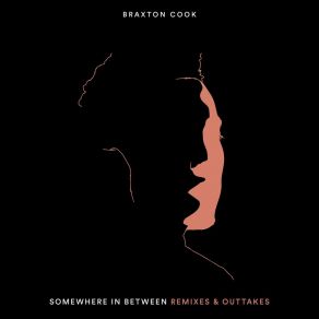 Download track Never Thought (Quickly, Quickly Remix) Braxton Cook