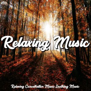 Download track Minimizing The Chronic Stress Of Daily Life Lullabies For Deep Meditation