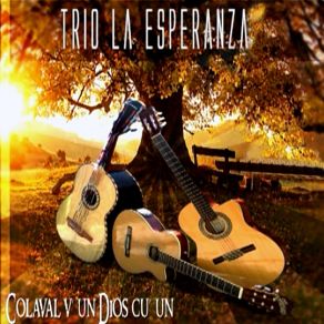 Download track Toyo Muyel A Sat TRIO LA ESPERANZA