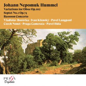 Download track Septet No. 1 In D Minor, Op. 74: I. Allegro Con Spirito Czech Nonet, Ivan Klansky, Vladislav Borovka, Pavel Hula, Pavel Langpaul, Praga Camerata