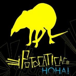 Download track Ipotocaticac - - Ipotocaticac - Shelter Ipotocaticac - - HOHA - 2009 (Red Puma)