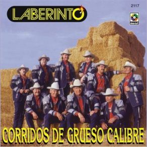 Download track Los Hijos De Los Pérez Grupo Laberinto