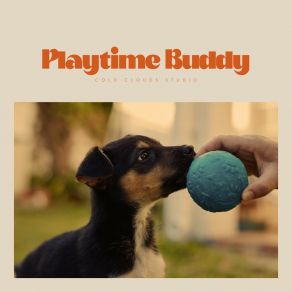 Download track Pebble's Peaceful Pause Some Dog Songs