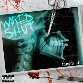 Download track Da Introduction Tayyib Ali