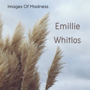 Download track Fire Sees In A Kiss Emillie Whitlos