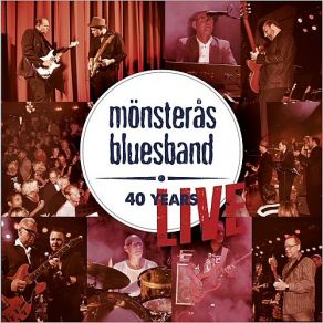 Download track Looking Forward To That Morning Monsteras BluesbandCalle Engstrom