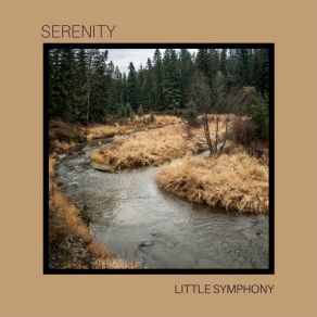 Download track Enlil Little Symphony