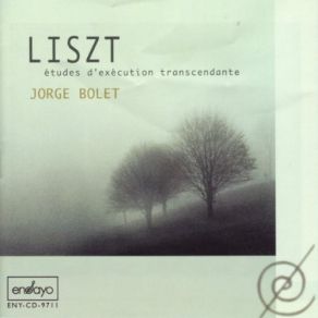 Download track 10. Études D'exécution Transcendante - Allegro Agitato Molto Franz Liszt