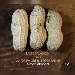 Download track Too Emotional For This World Tom Rainey, Drew Gress, Samo Šalamon Trio