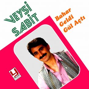 Download track Sevmemeli Veysi Sabit