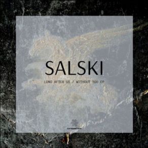 Download track Long After Us (Original Mix) Salski