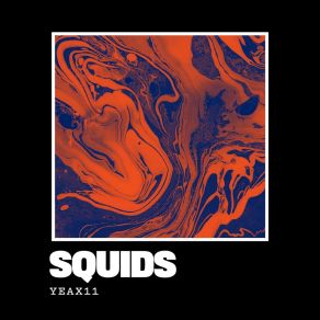 Download track Yeax11 (DJ Häden Mix) The Squids