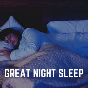 Download track Trusting The Night Away Sleep Ambience