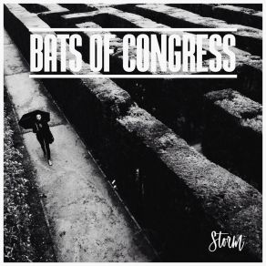 Download track Two Moons Bats Of Congress