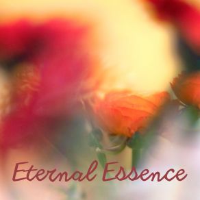 Download track Blissful Quietude Extenz