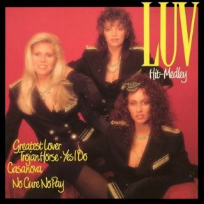 Download track The Luv' Hit-Medley (Maxi Version - Side ''A'') Luv'