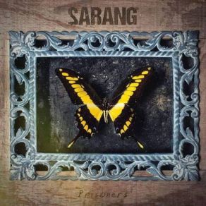 Download track Waves Sarang