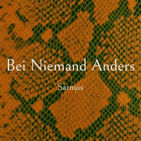 Download track Bei Niemand Anders (Speed Up Remix) Sarnuis