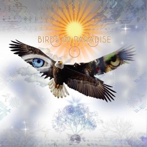 Download track Kalyana ~ Acoustic BirdTribe