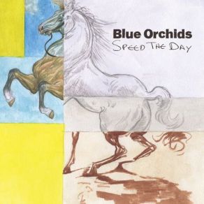 Download track 22nd Century The Blue Orchids