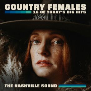 Download track It's A Little Too Late NASHVILLE SOUND