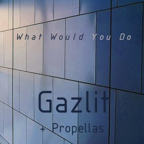 Download track What Would You Do (Instrumental) PropellasΟΡΓΑΝΙΚΟ