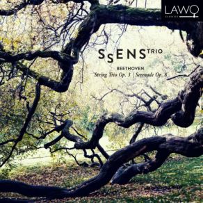 Download track Serenade In D Major, Op. 8: VI. Tema Con Variazioni. Andante Quasi Allegretto Sølve Sigerland, Henninge Landaas, Ssens Trio, Ellen Flesjø