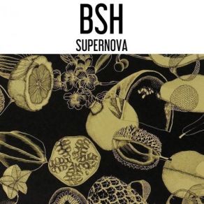 Download track Sedver Bsh